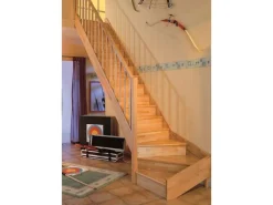 Dolle Raumspartreppe Paris 1/4-gew. Links Setzstufe Buche R-Geländer FSC®