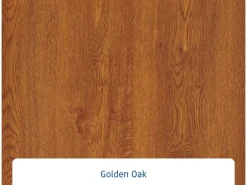 EcoStar Haustür Isopro IP 010 Golden Oak 110 cm cm x 210 cm DIN L