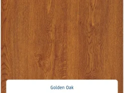 EcoStar Haustür Isopro IP 020S Golden Oak 110 cm x 210 cm DIN L