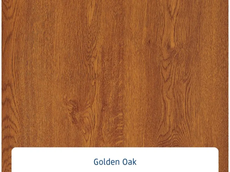 EcoStar Haustür Isopro IP 020S Golden Oak 110 cm x 210 cm DIN L