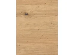 Egger Decowall Wandverkleidung DO009 Esbjerg 1.250 x 660 x 12 mm Hellbraun