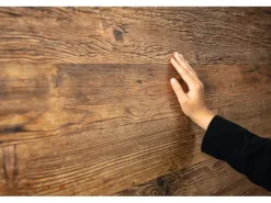 Egger Design-Wandpaneele DecoWall Namur Fichte Natur 125 cm x 66 cm