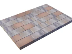 EHL Drän-Mehrformat-Pflaster Lille Muschelcreme