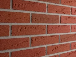 Elabrick Verblender Oregon 5 cm x 21 cm