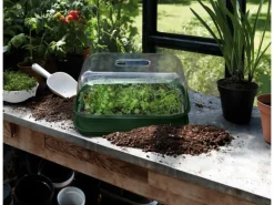 Elho Anzuchtschale Green Basics M 36 cm x 26,5 cm x 6 cm Grün