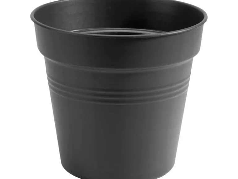 Elho Anzuchttopf Green Basics Ø 15 cm living schwarz