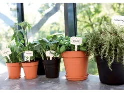 Elho Anzuchttopf Green Basics Ø 15 cm living schwarz