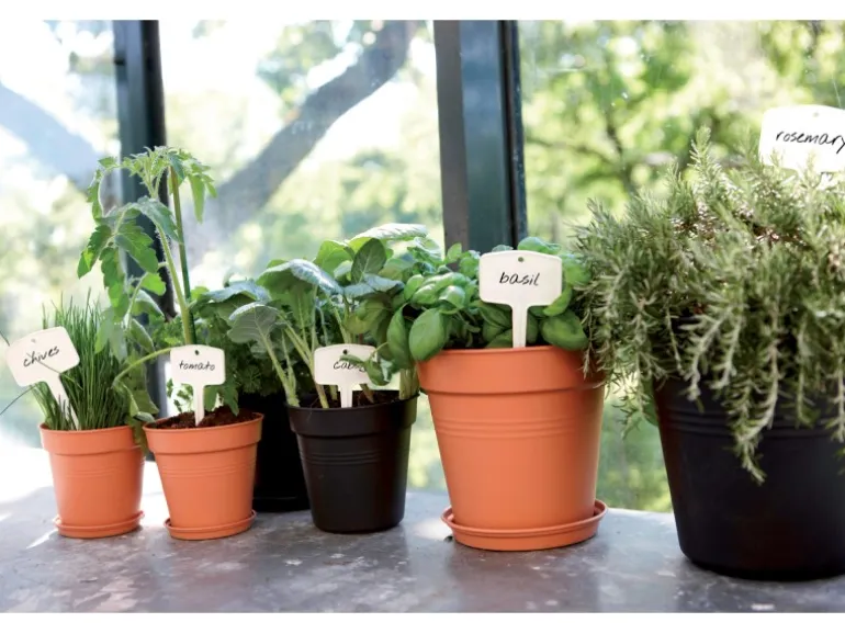 Elho Anzuchttopf Green Basics Ø 15 cm living schwarz