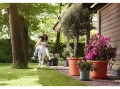 Elho Blumentopf Algarve Cilindro Ø 40 cm x 33 cm Terrakotta