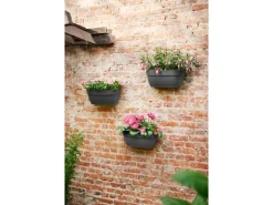 Elho Wandblumenampel Vibia Campana 35 cm x 16 cm x 15 cm Honiggelb