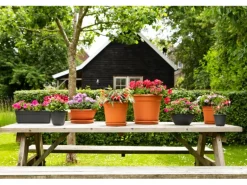 Florus Pflanzschale Original Ø 34 cm terrakotta