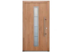 FM Türen AS68 Modell 01 1100 x 2100 Winchester Rechts Innen Beschläge Set 13 Glas 20