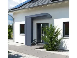 Gutta Depot passend zu Vordach BS + BS Plus 55 cm x 220 cm