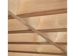 Gutta Vordach BS Timber-Line Echtholz Acrylglas rechteckig 160 cm