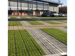 HL Rasengitter ohne Unterbau 80 cm x 40 cm x 6 cm