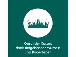 HL Rasengitter ohne Unterbau 80 cm x 40 cm x 6 cm