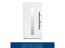 Hörmann Haustür Thermo65 Motiv 610S Verkehrsweiß 110 cm x 210 cm DIN R