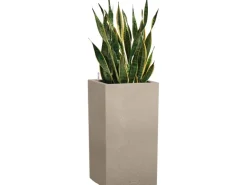 Lechuza® Pflanzgefäß Canto Stone high 30 Sandbeige 30 cm x 56 cm