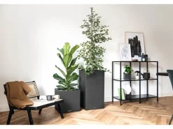 Lechuza® Pflanzgefäß Canto Stone low 40 Graphitschwarz 40 cm x 40 cm