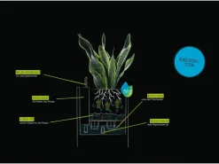 Lechuza® Pflanzgefäß Canto Stone low 40 Graphitschwarz 40 cm x 40 cm