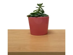 Möbelbauplatte Buche Holznachbildung 260 cm x 40 cm x 1,9 cm