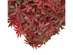 MCW Wandfliese L78 - Ahorn Rot