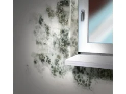 MEM Schimmel-Entferner 500 ml