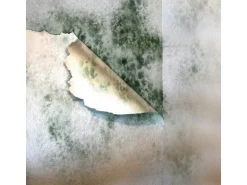 MEM Schimmel-Entferner 500 ml