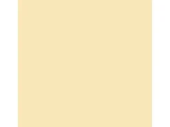 OBI Wetterschutzfarbe Hellelfenbein seidenmatt 750 ml