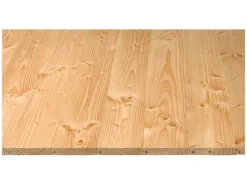 Rauspund Douglasie Nut und Feder 21 mm x 116 mm x 3000 mm