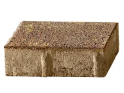 Rechteck-Pflaster Beton Herbstbunt 20 cm x 10 cm x 6 cm