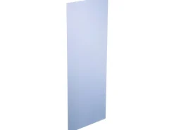 Rigips Die Blaue RF 1,25 cm x 60 cm x 200 cm