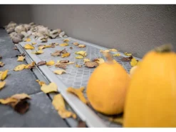 Schellenberg Lichtschacht-Abdeckung Teleskopierbar 60 cm x 120 cm