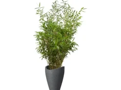 Scheurich Pflanzgefäß Wave Globe High Ø 40 cm x 54 cm Schwarz-Granit