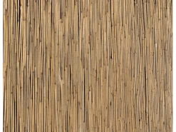 Schilfrohrmatte 100 cm x 600 cm