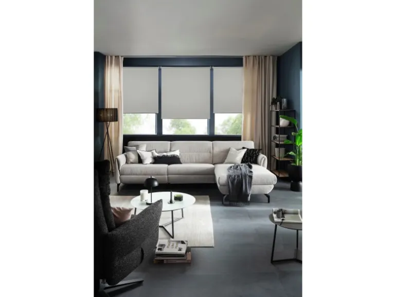 Schöner Wohnen Thermo-Rollo Martha 75 cm x 150 cm Hellgrau