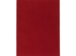 Snapstyle Kunstrasen Rasenteppich mit Noppen Kingston Rot 200x500cm