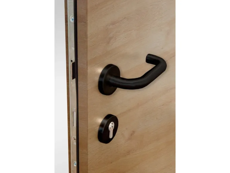 Splendoor Thermospace Haustür Berlin Prime Woodeffect 110x210 cm R