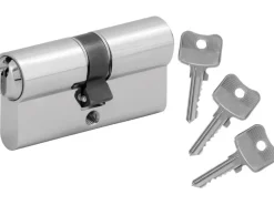 Stahl-Nebeneingangstür NS2 Weiß Nach Innen Öffnend 88 x 198 cm Anschlag R