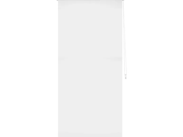 Tageslicht-Rollo Zamora 80 cm x 175 cm Weiß