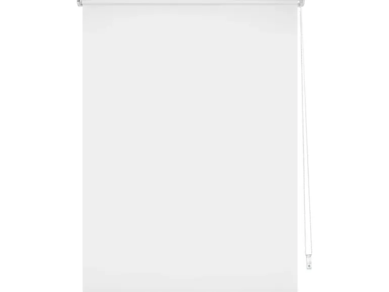 Tageslicht-Rollo Zamora 80 cm x 175 cm Weiß