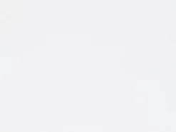 Tageslicht-Rollo Zamora 80 cm x 175 cm Weiß