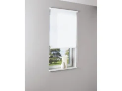 Tageslicht-Rollo Zamora 80 cm x 175 cm Weiß
