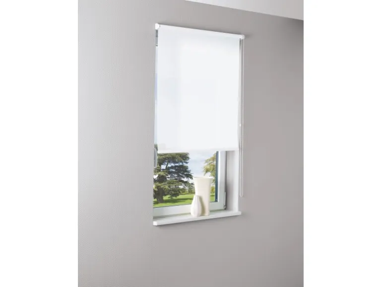 Tageslicht-Rollo Zamora 80 cm x 175 cm Weiß
