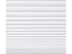 Tageslicht-Spannplissee Valeria 105 cm x 130 cm Weiß