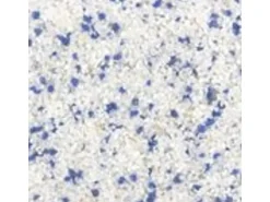 Terralith Buntsteinputz Mosaikputz 2mm -15 kg- BSP104 Weiss Blau