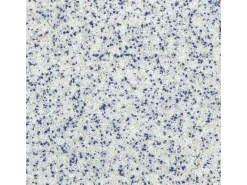 Terralith Buntsteinputz Mosaikputz 2mm -15 kg- BSP101 Weiss Blau