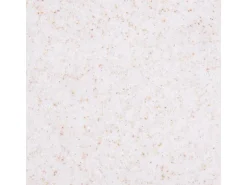 Terralith Buntsteinputz Mosaikputz 1mm -15 kg- BSP1078 Weiss Gold