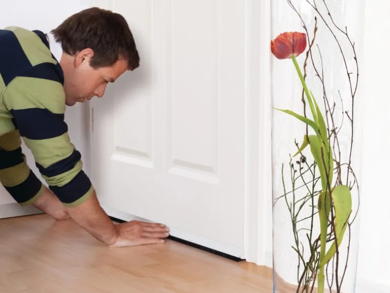 Tesamoll Standard Türdichtschiene für glatte Böden Braun