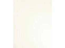 Tischplatte 120 cm x 80 cm x 2,5 cm Weiß